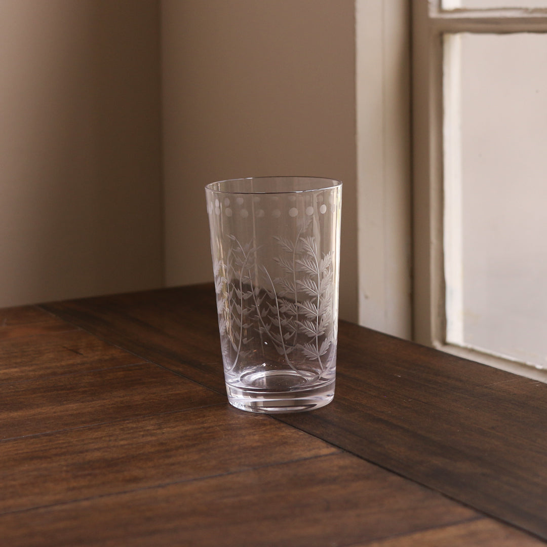 beatriz-ball-wholesale-glass-fern-with-dots-tumbler-set-of-4-clear