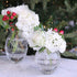 beatriz-ball-wholesale-glass-faceted-round-bud-vase-clear