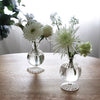 GLASS Cambridge Ella 7" Bud Vase Set of 2 (Clear)