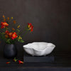 beatriz-ball-wholesale-vida-nube-medium-bowl-white
