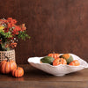 beatriz-ball-wholesale-vida-nube-large-oval-bowl-white
