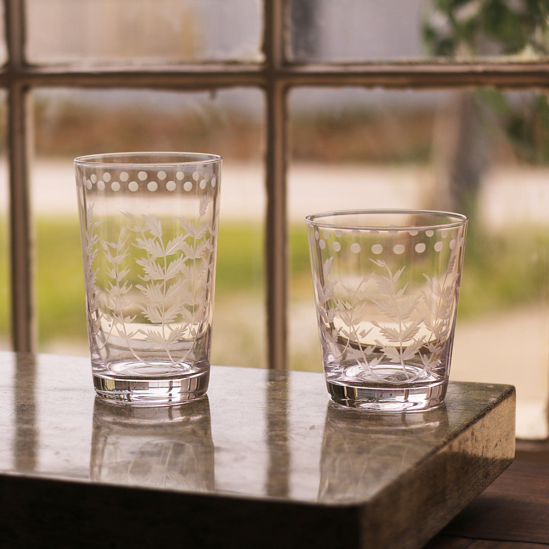 beatriz-ball-wholesale-glass-fern-with-dots-tumbler-set-of-4-clear