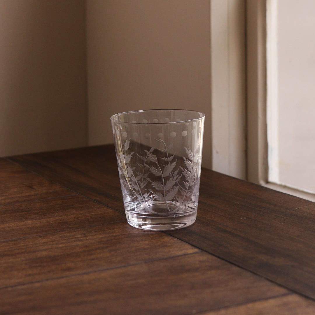 beatriz-ball-wholesale-glass-fern-with-dots-double-old-fashioned-set-of-4-clear