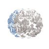 vida-english-toile-reversible-placemats-set-of-4-blue-gray