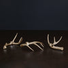 beatriz-ball-wholesale-western-sierra-modern-antler-candlestick-gold-set-of-3-gold