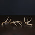 beatriz-ball-wholesale-western-sierra-modern-antler-candlestick-gold-set-of-3-gold