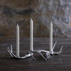 beatriz-ball-wholesale-western-antler-candlestick-set-of-3