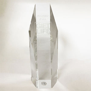 BERT TONKIN GIFT OF GIVING AWARD